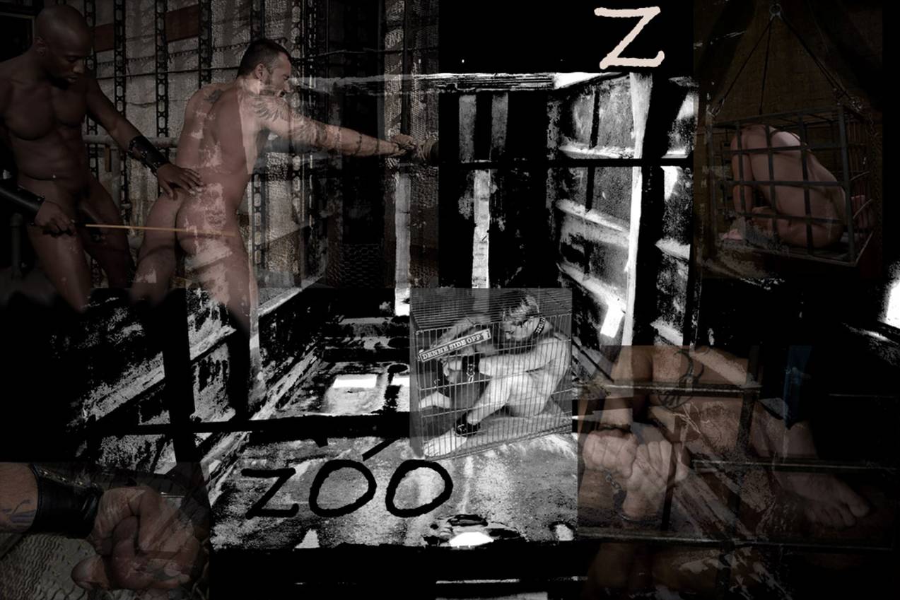 Z1 copia.jpg
