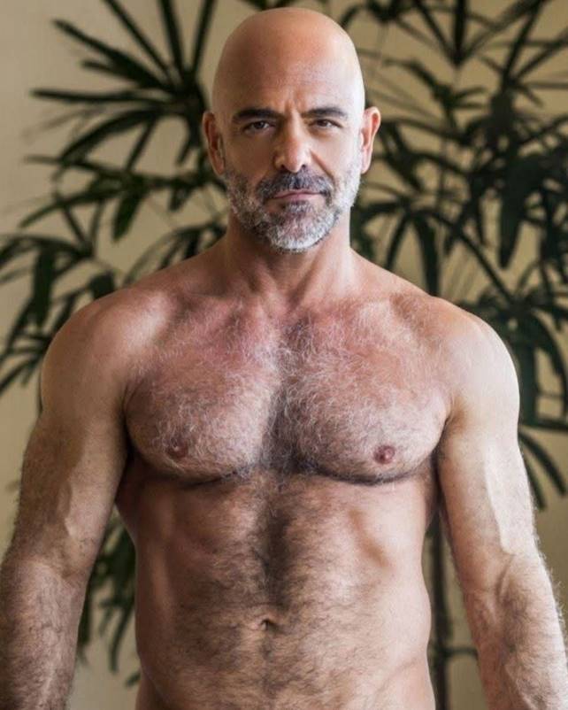 481812877_1290043195405252_5938908766504297577_n